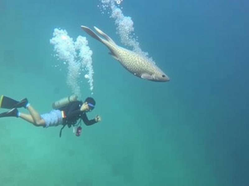 Underwater India Adventure – divers exploring ancient sunken temple with colorful fish